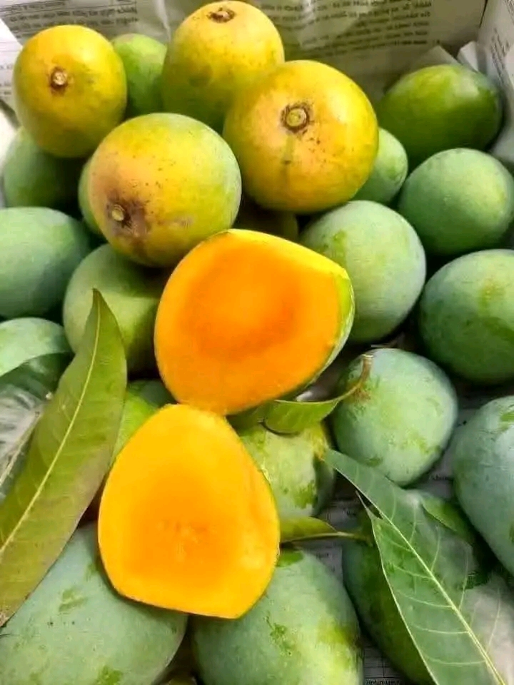 30 KG গোবিন্দভোগ আম (সাতক্ষীরার বাগান থেকে)